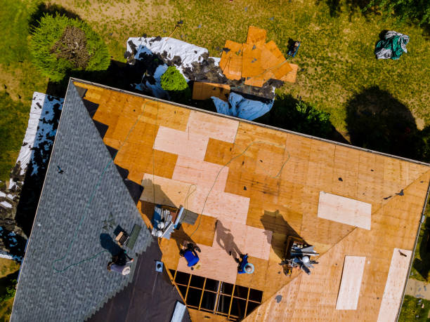 Best Roof Restoration Services  in Lan, MI
