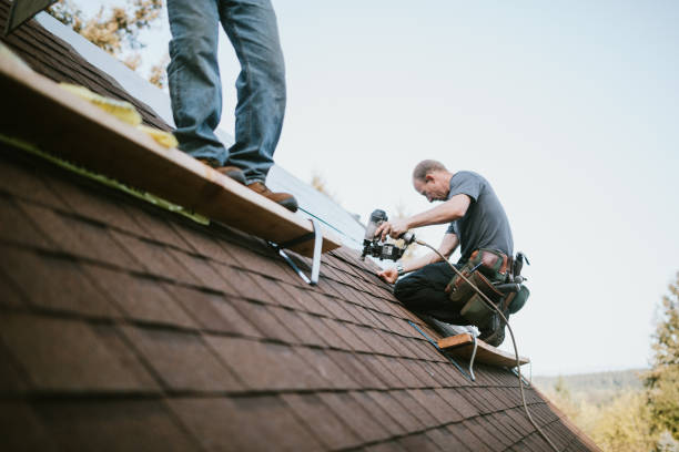 Residential Roof Replacement in Milan, MI