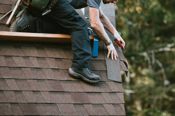 Best Slate Roofing Contractor  in Lan, MI